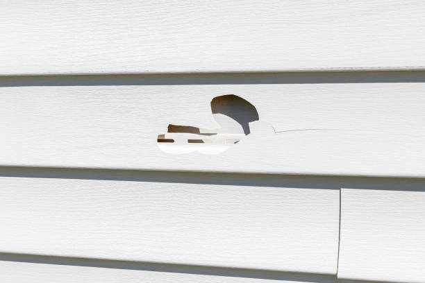 Melrose, MN Siding Installation & Repair Company