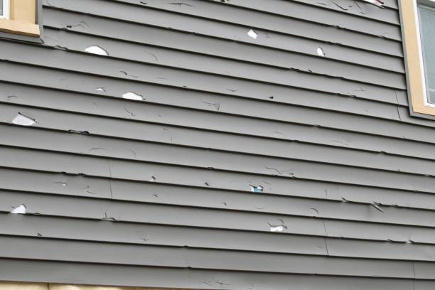 Historical Building Siding Restoration